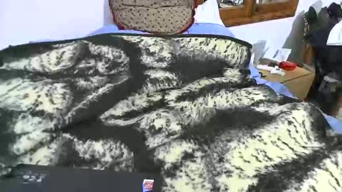 Snapshot of xaxi3 chatting on January 10, 2026, 11:31 pm xaxi3 online show from January 10, 2026, 11:31 pm