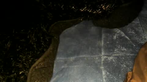 Snapshot of xbigtymerx chatting on January 22, 2025, 9:57 am Toke online show from January 22, 2025, 9:57 am