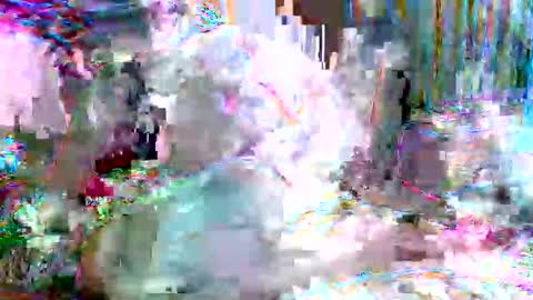 xixo6969 online show from February 20, 2026, 5:15 am