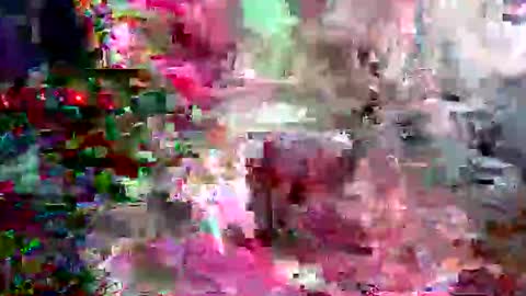 xixo6969 online show from February 21, 2026, 12:28 pm