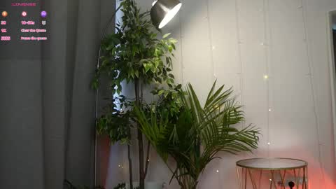 Milana online show from March 17, 2026, 7:01 am