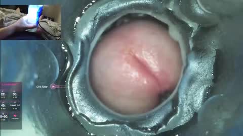 xoxowtf online show from December 7, 2024, 4:53 am