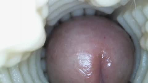 xoxowtf online show from March 15, 2026, 5:41 pm