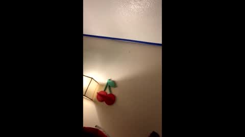 Snapshot of xtika chatting on January 19, 2025, 8:18 am xtika online show from January 19, 2025, 8:18 am