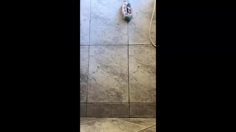 xviktorbr online show from March 26, 2026, 4:56 pm