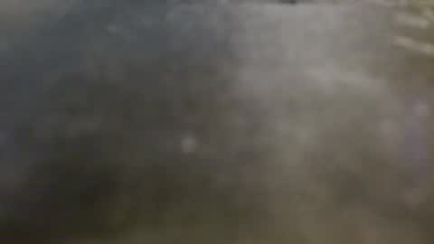 Snapshot of xx_cum4you_xx chatting on May 1, 2026, 3:22 am cum4you online show from May 1, 2026, 3:22 am