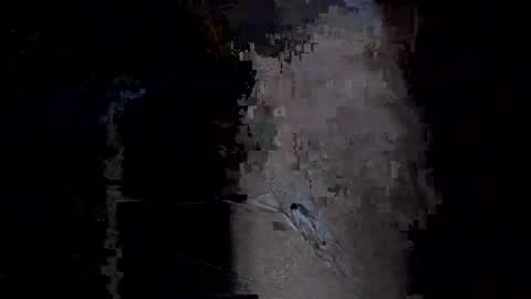 Vera online show from January 14, 2026, 11:53 pm