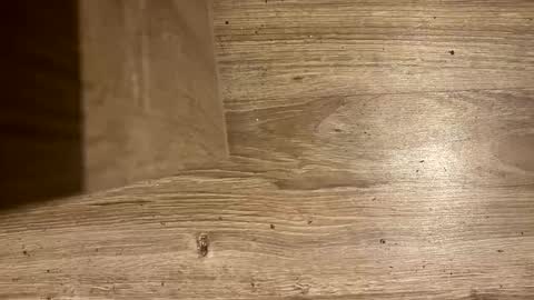 Antonio del Pa ero online show from March 8, 2026, 12:30 am