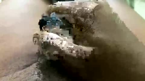 Snapshot of xxx071717 chatting on March 12, 2026, 6:25 pm Jhon online show from March 12, 2026, 6:25 pm