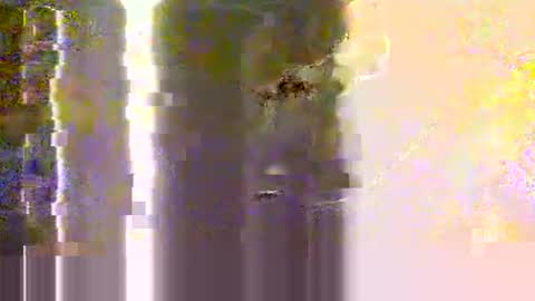 Snapshot of yangolox3 chatting on May 12, 2026, 2:30 am yangolox3 online show from May 12, 2026, 2:30 am