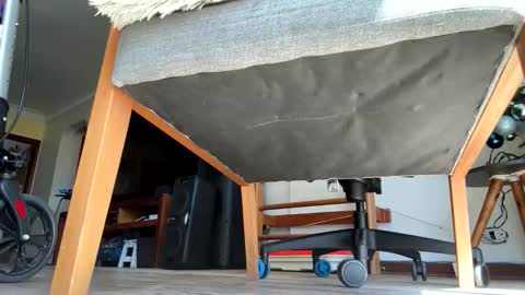 yannisv online show from January 10, 2026, 12:51 pm