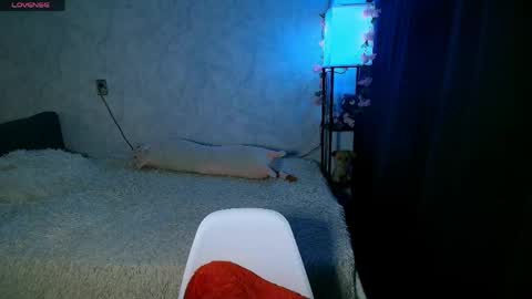 Anny online show from April 28, 2026, 4:01 pm