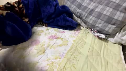 Snapshot of yasarsimo99154258 chatting on February 23, 2026, 12:09 am yasarsimo99154258 online show from February 23, 2026, 12:09 am