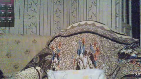 Snapshot of yatocka chatting on January 15, 2025, 7:48 am Sven online show from January 15, 2025, 7:48 am