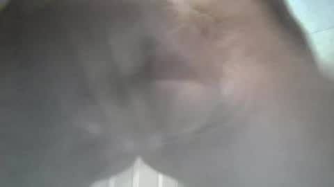 Snapshot of yaycarr9 chatting on June 12, 2026, 10:52 pm yaycarr9 online show from June 12, 2026, 10:52 pm