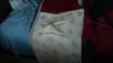 .     y e l l o w s n a k e s       . online show from November 3, 2025, 10:16 am