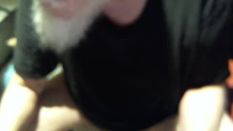 .     y e l l o w s n a k e s       . online show from November 12, 2025, 12:38 pm