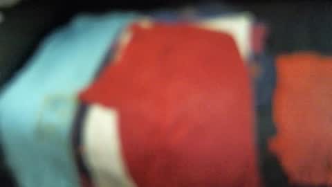 .     y e l l o w s n a k e s       . online show from November 13, 2025, 12:42 am