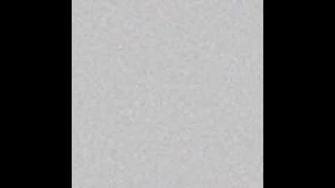 .     y e l l o w s n a k e s       . online show from November 30, 2025, 6:12 pm