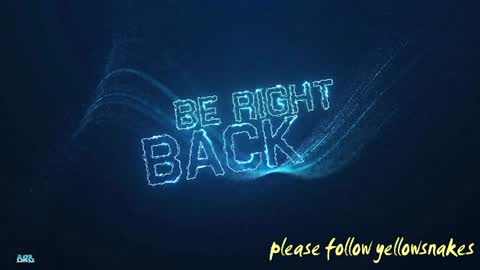 .     y e l l o w s n a k e s       . online show from December 5, 2025, 6:00 am