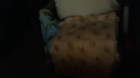 .     y e l l o w s n a k e s       . online show from January 6, 2026, 9:24 am