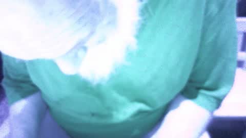 .     y e l l o w s n a k e s       . online show from February 16, 2026, 9:00 pm