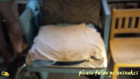 .     y e l l o w s n a k e s       . online show from March 5, 2026, 3:08 pm