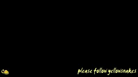 .     y e l l o w s n a k e s       . online show from April 15, 2026, 11:17 am
