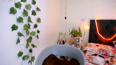 Snapshot of yemfairymcry chatting on June 10, 2026, 3:55 pm YEM online show from June 10, 2026, 3:55 pm