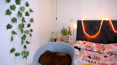 Snapshot of yemfairymcry chatting on June 11, 2026, 4:16 pm YEM online show from June 11, 2026, 4:16 pm