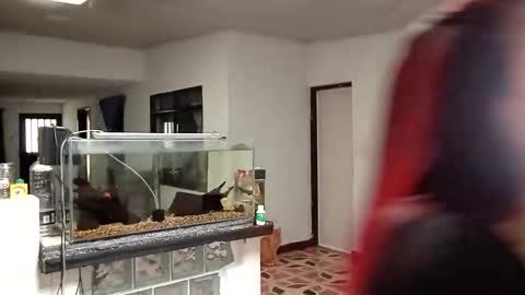 Snapshot of yesika_t chatting on January 9, 2026, 5:48 pm yesika_t online show from January 9, 2026, 5:48 pm