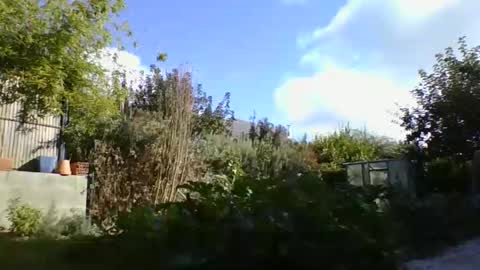 Snapshot of yoannsexmalo chatting on October 9, 2025, 1:42 pm Yoann online show from October 9, 2025, 1:42 pm