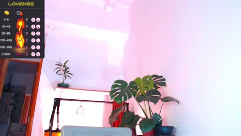 Enzo online show from January 6, 2025, 3:09 am