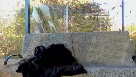 Snapshot of you_love_melisa chatting on October 29, 2025, 9:11 am private on 18 per minute start private 500 tokensOnlyfans online show from October 29, 2025, 9:11 am