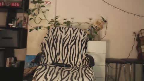 Viky online show from December 17, 2025, 12:11 pm