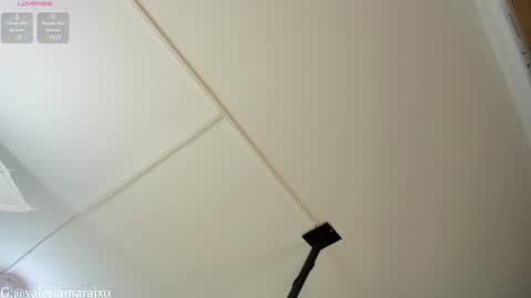 Snapshot of your_naughtytrans chatting on January 25, 2025, 9:14 pm SASKYA VALERIA online show from January 25, 2025, 9:14 pm