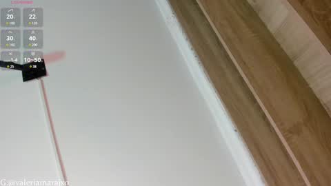 Snapshot of your_naughtytrans chatting on February 1, 2025, 9:29 pm SASKYA VALERIA online show from February 1, 2025, 9:29 pm