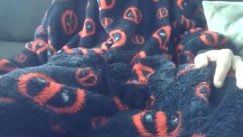 Youraccord online show from April 2, 2026, 9:29 am