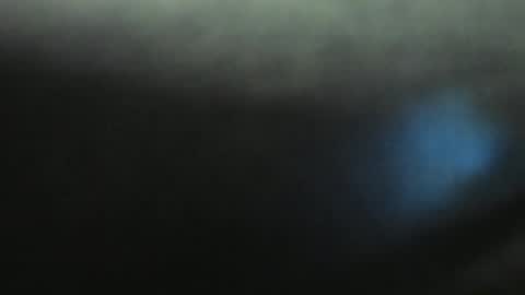 Snapshot of yourfantasyc chatting on January 11, 2025, 3:20 pm Evelline online show from January 11, 2025, 3:20 pm