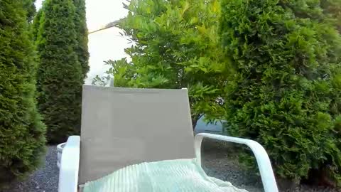 Snapshot of yourjackdick chatting on June 11, 2026, 4:32 am Jacky online show from June 11, 2026, 4:32 am
