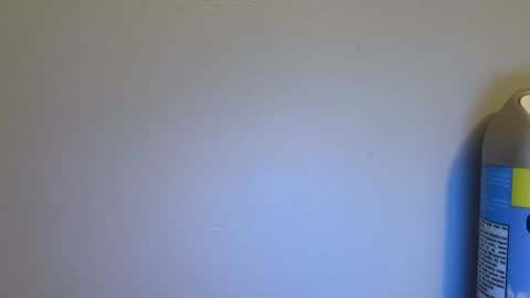 newcastle72 online show from July 10, 2026, 5:56 am