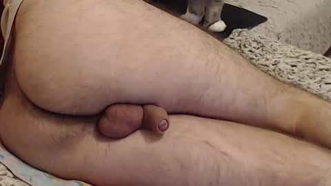 Yowlo online show from September 22, 2025, 3:30 am