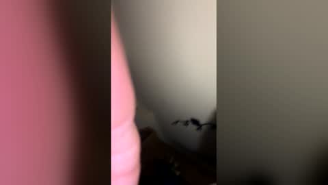 Snapshot of zachmurphbigboy chatting on March 1, 2026, 3:41 am zachmurphbigboy online show from March 1, 2026, 3:41 am