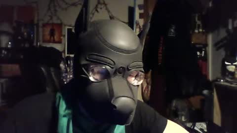 ZanePup online show from June 29, 2026, 7:47 am