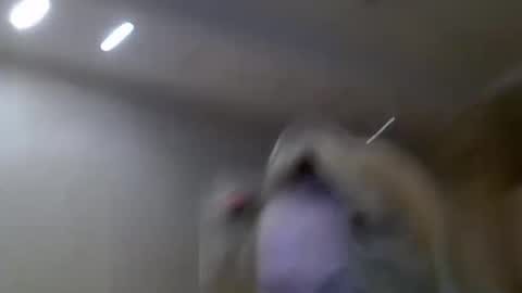 Snapshot of zarinaswift chatting on February 14, 2025, 4:47 am Zarina Swift online show from February 14, 2025, 4:47 am