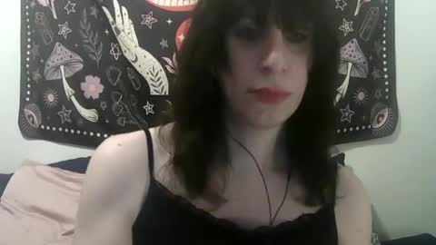 Snapshot of zeldasroom chatting on January 17, 2025, 10:45 pm Zelda online show from January 17, 2025, 10:45 pm