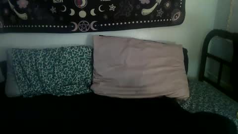 Snapshot of zeldasroom chatting on February 17, 2025, 2:09 am Zelda online show from February 17, 2025, 2:09 am