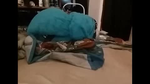 Snapshot of zeroandhero chatting on December 14, 2024, 3:36 pm zero online show from December 14, 2024, 3:36 pm