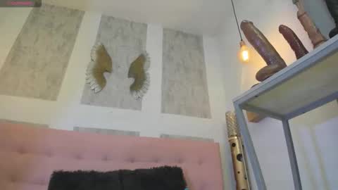 ZHAMIRA  ANDRES online show from February 11, 2026, 11:21 pm