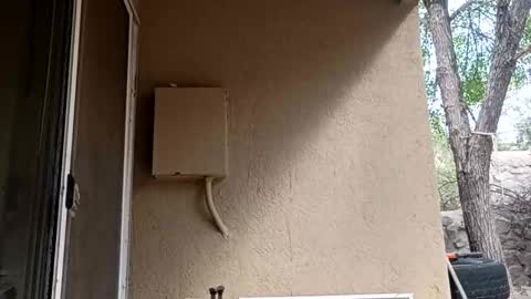 Snapshot of zoeoved92 chatting on October 8, 2025, 4:37 pm zoeoved92 online show from October 8, 2025, 4:37 pm